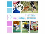 Dog-e-motion