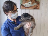 Animaux et Vous