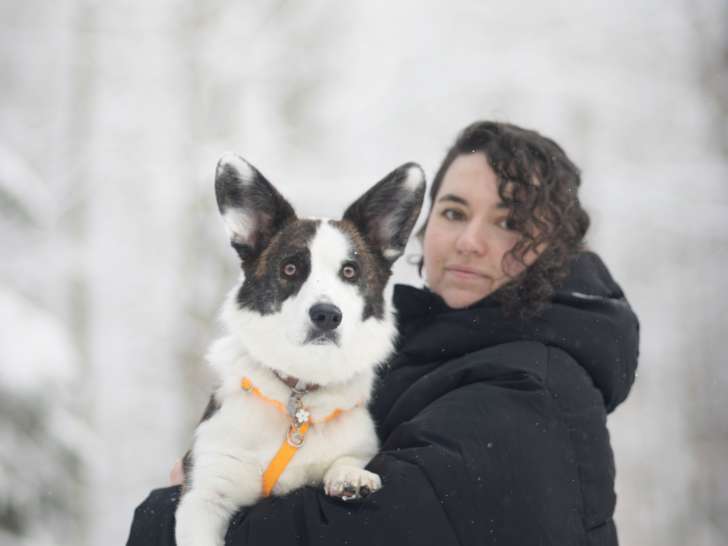 Élevage des Petits Renards