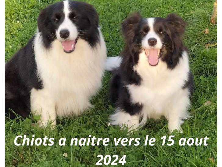 bébé a naitre vers le 15 aout 2024