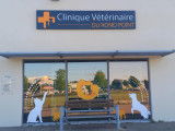 Clinique vétérinaire du Rond-point