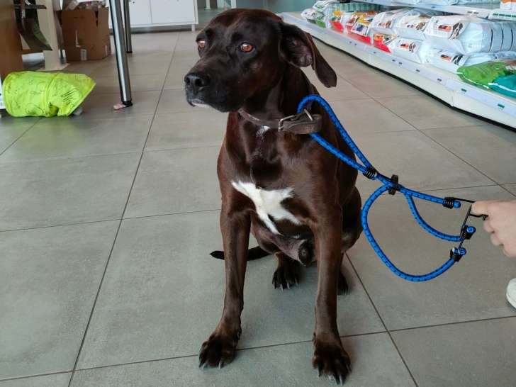 Clinique vétérinaire du Rond-point