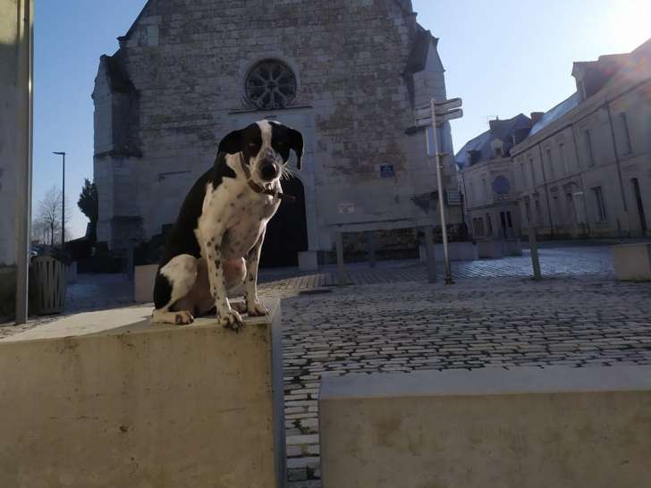 L'Arche de Jayam