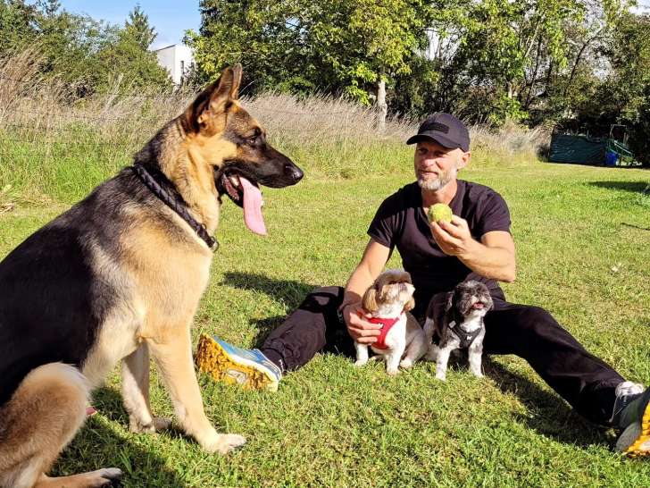 Abc Dog Center