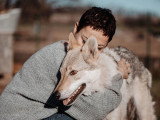 The Walking Dogs Center