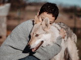 The Walking Dogs Center