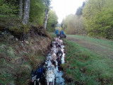 Nord Aveyron Mushing