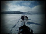 Nord Aveyron Mushing