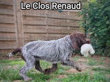 Du Clos Renaud