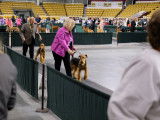 Airedale Terrier Club of Canada (ATCC)