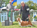 Basset Hound Club of Canada