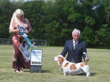 Basset Hound Club of Canada