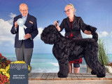 Black Russian Terrier Club of Canada (BRTCC)