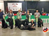 Black Russian Terrier Club of Canada (BRTCC)