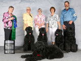 Black Russian Terrier Club of Canada (BRTCC)