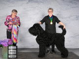 Black Russian Terrier Club of Canada (BRTCC)