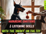 Online Training Course - Walking on a relaxed leash + Managing emotions.
